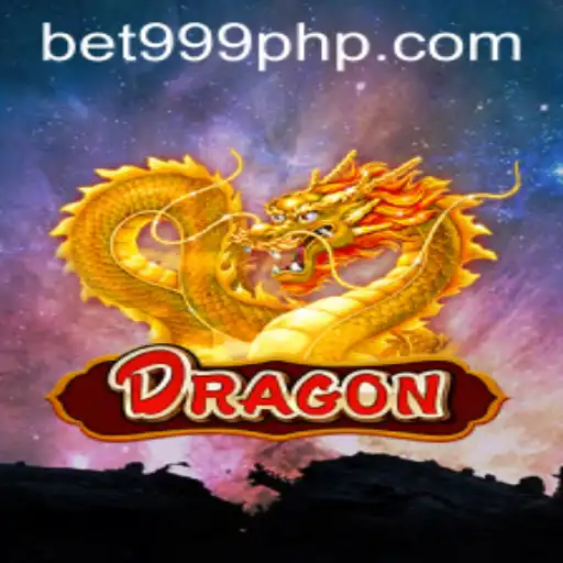 Dive into the World of Dragon: A Thrilling Adventure